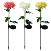 HomeQuill™ Chrysanth Solar Flowers