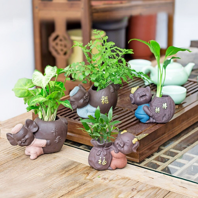 HomeQuill™ LOVE Pigs Bonsai Pots