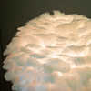 HomeQuill™ Goose Feather LED Night Light