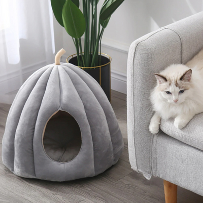 Furco™ Pumpkin Cat Bed
