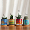 HomeQuill™ American Art Colorful Flower Pots