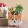 HomeQuill™ Miniature Animal Succulent Pots