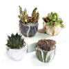 HomeQuill™ Textured Marble Plant Pots