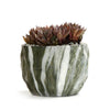 HomeQuill™ Textured Marble Plant Pots