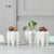 HomeQuill™ Ceramic Tooth Plant Pot