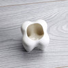 HomeQuill™ Ceramic Tooth Plant Pot